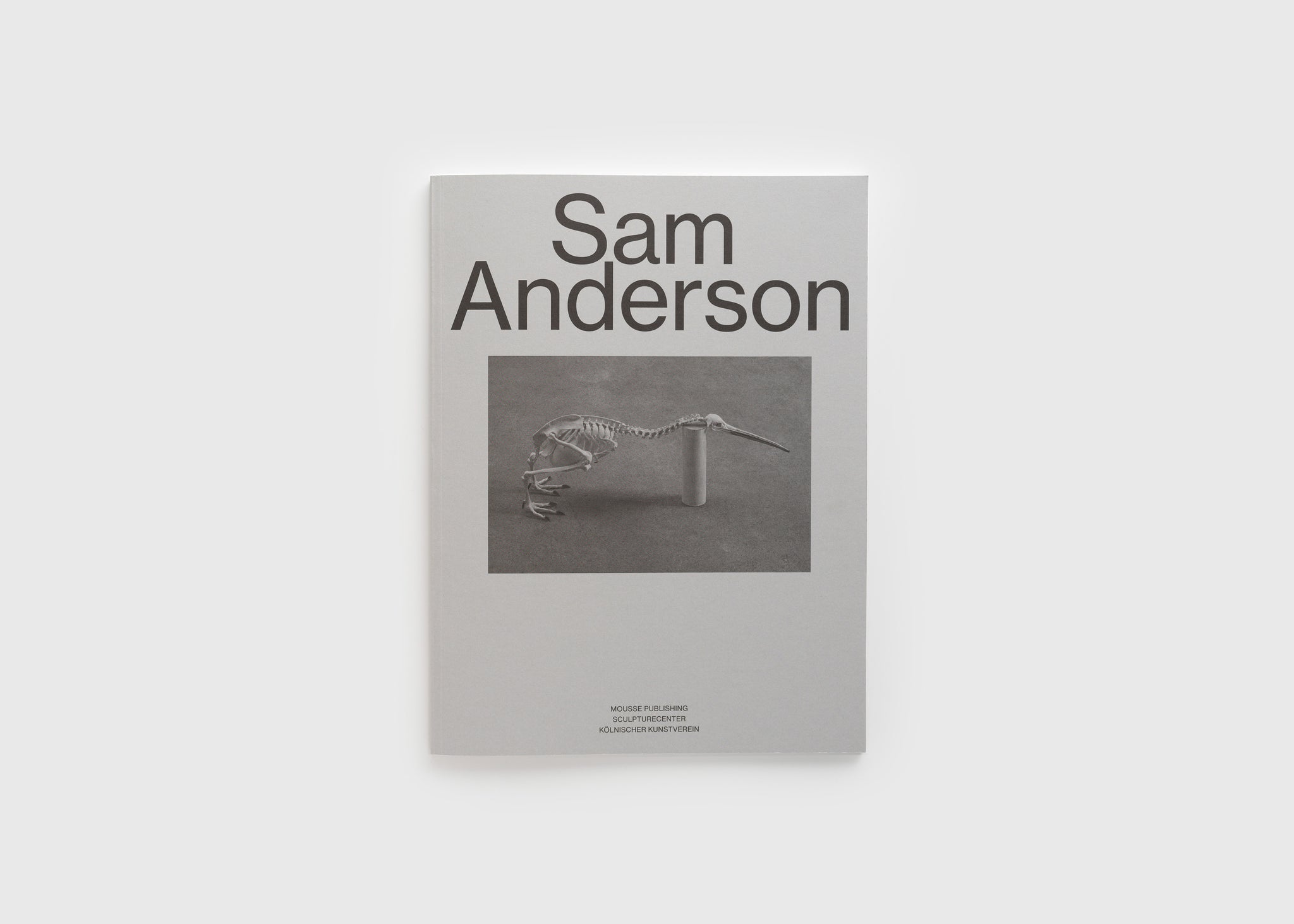 Sam Anderson, ‘Sam Anderson’